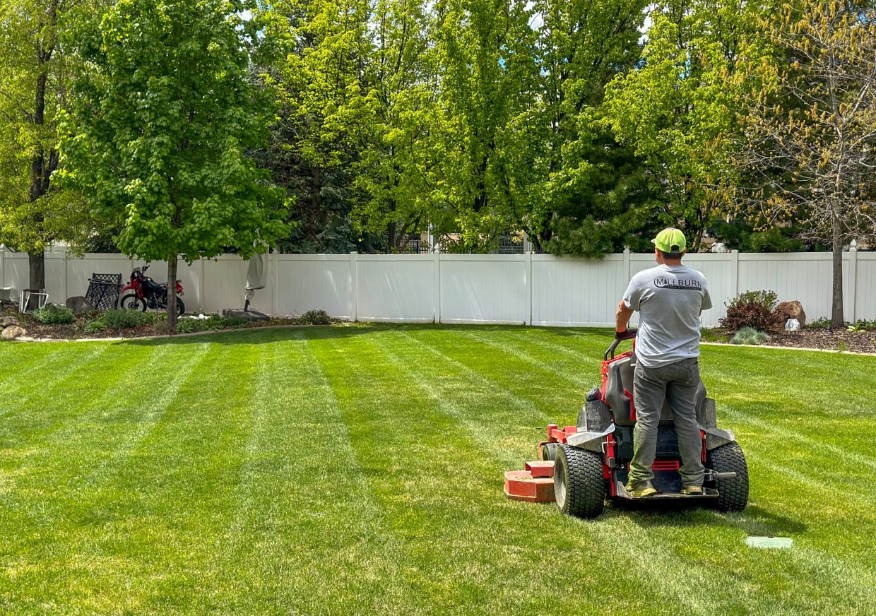 Essential Lawn Care Tips for Year-Round Maintenance